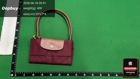 Small Handbag With Gold Buckle