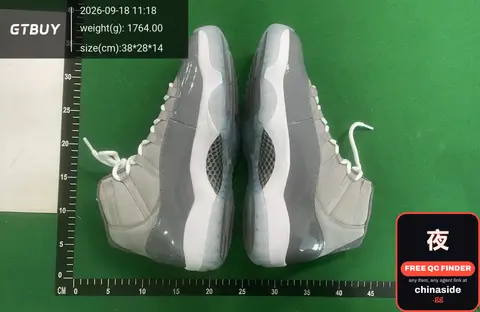 NK AJ11 Sneakers