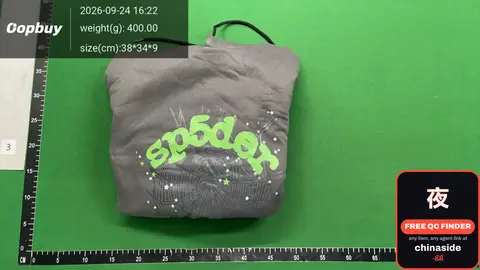 Spider Gray Hooded Sweatshirt