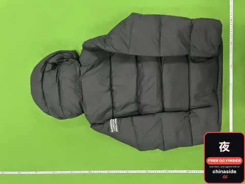 Down Jacket