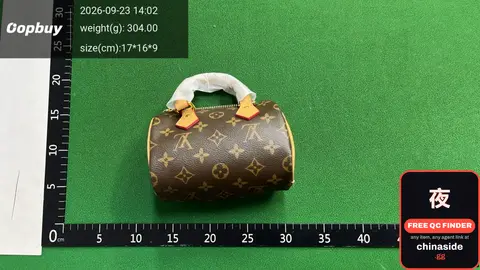 Louis Vuitton Mini Handbag