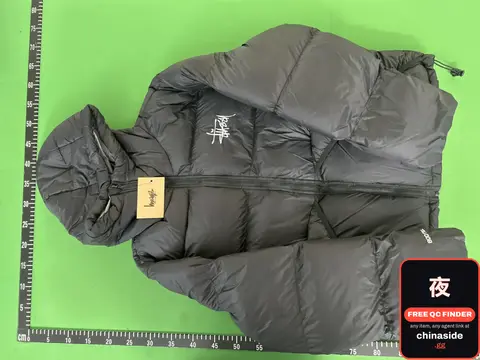 Arc'teryx Down Jacket