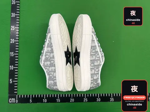Dior Star Logo Sneakers