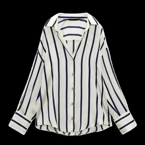 Zara Shirt