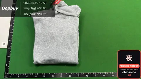 Grey Hoodie