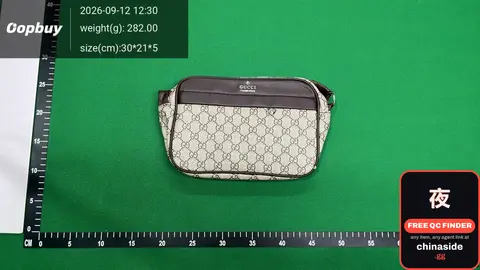 Gucci Belt Bag