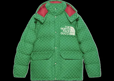 Gucci x The North Face Jacket