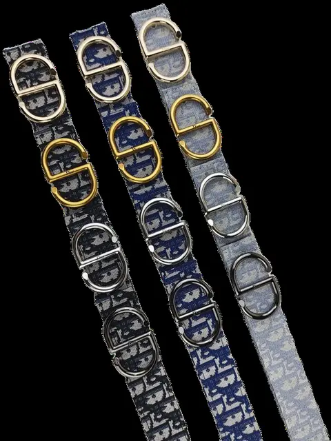 Dior Belt - CD Buckle Multi-Colour