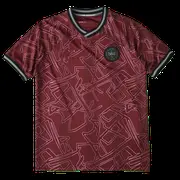 2425 season Denmark home Fan version