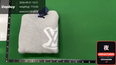 Louis Vuitton Sweatshirt
