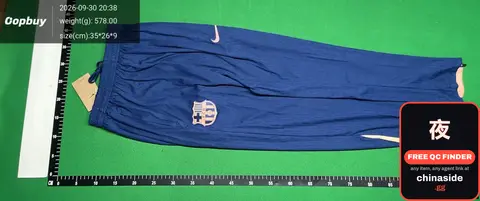 Blue Nike Track Pants