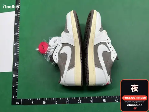 Nike Dunk Low Sneakers