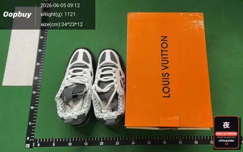 Louis Vuitton Trainer Thick Sole Sneakers