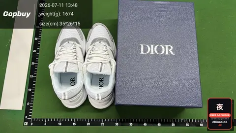 Dior B22 Sneakers