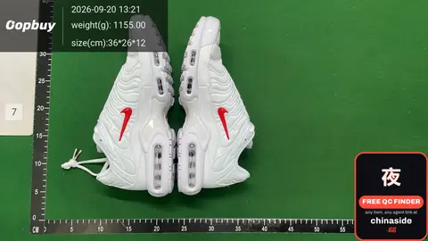 Air Max Plus TN Sneakers