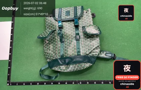 Goyard Backpack