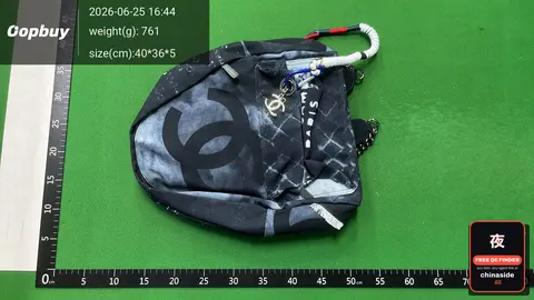 Chanel Logo Mini Crossbody Bag