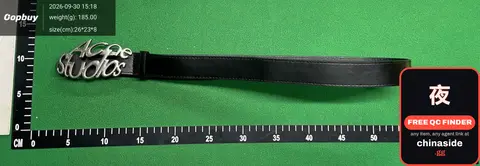 Studs Belt