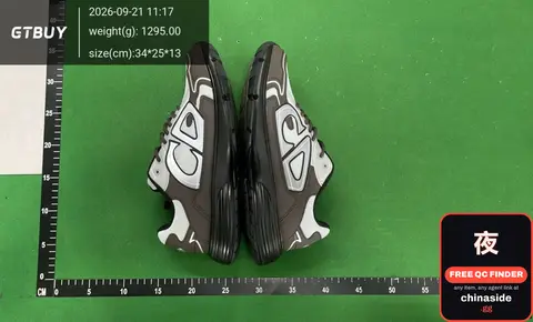 Dior B30 Retro Dad Sneakers