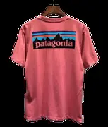 Patagonia Tee 35+ colorways
