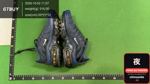 Nike Air Max Sneakers