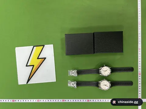 DX184 Business Stainless Steel Mechanical Watch
