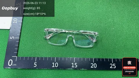 DX29 Sunglasses
