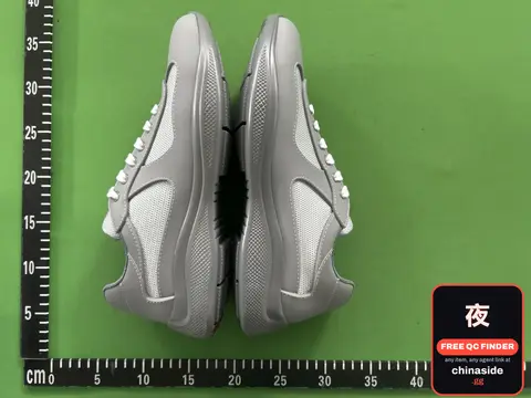 Silver Sneakers