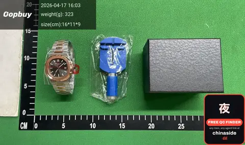 Steel-strap Mechanical Watch