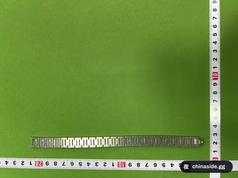 Lacoste Bracelet