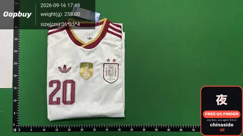 Spain Champion Away Jersey Pedri