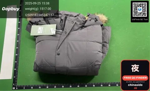Down Jacket