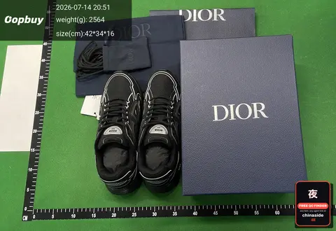 Dior Sneakers
