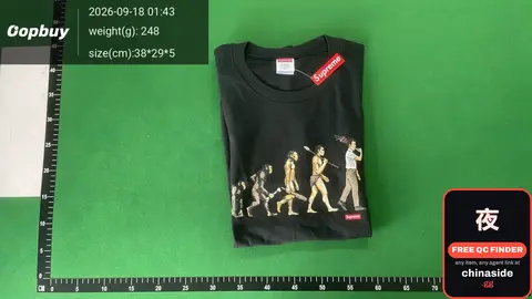 Evolution Tee