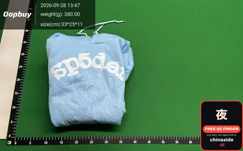 Spider Hoodie