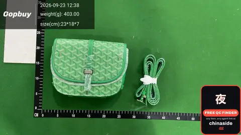 Goyard Mini Bag