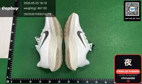 Nike Pegasus Plus Running Shoes