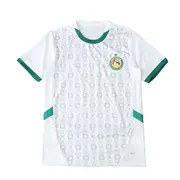 2425 season Senegal home Fan version