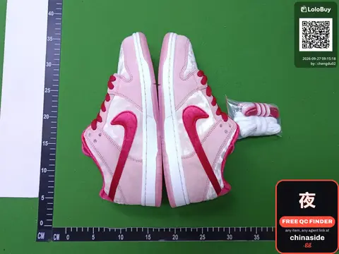 Nike Dunk High