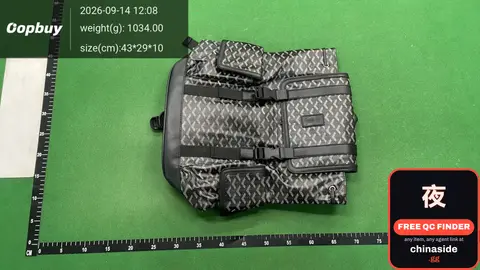 Goyard Backpack