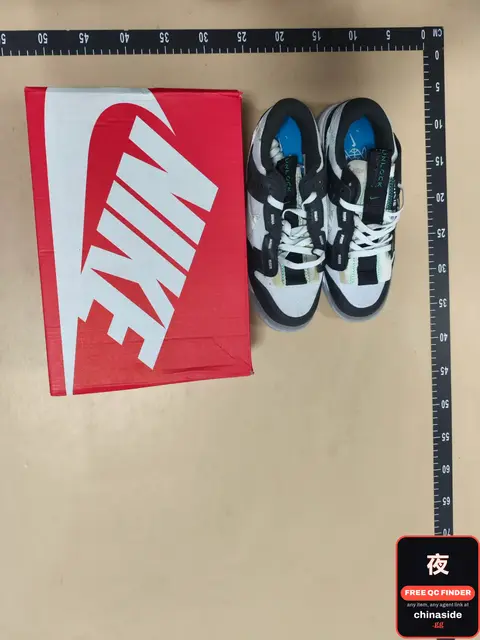 Nike Dunk Low