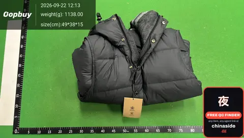 Detachable Sleeve Down Jacket
