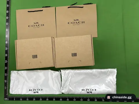 Celine Style Shoulder Bag