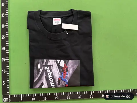 Spider Graphic Tee