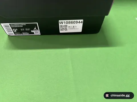 Jordan 12 Sneakers