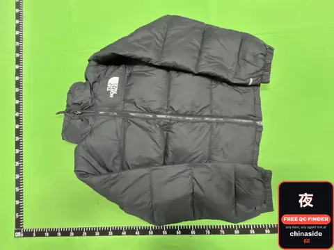 The North Face 1996 Down Jacket