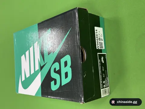 Nike SB Shoes