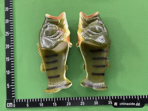 Fish-Shaped Indoor Slippers