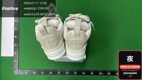 Skate Series Shoes