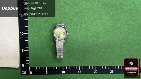 Automatic Mechanical Steel Band Watch